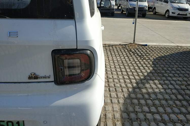 Used  Panda 2025 210 km – Yuanqi Bear
