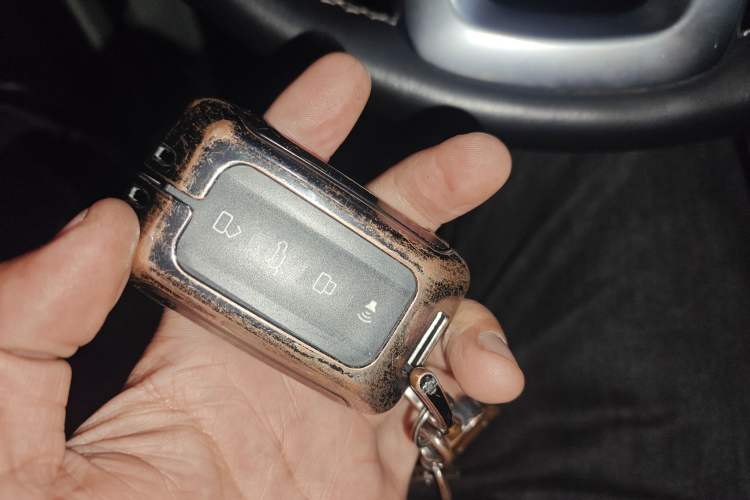 Used Tank 300 2021 City Edition 2.0T—Truly Stylish
