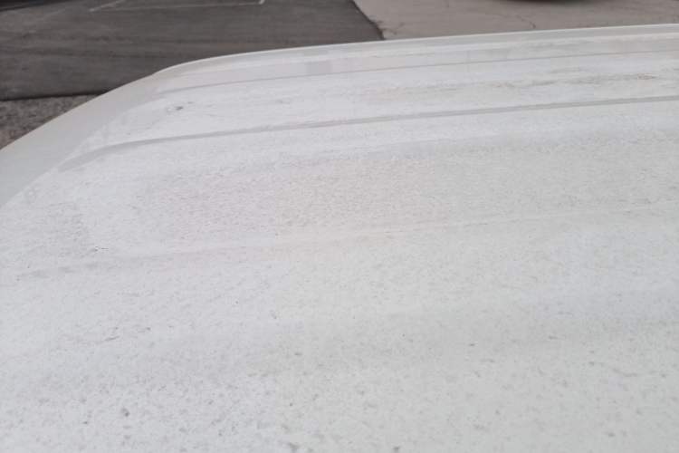 Used  Panda 2024 Panda Mini 200km Endurance Bear
