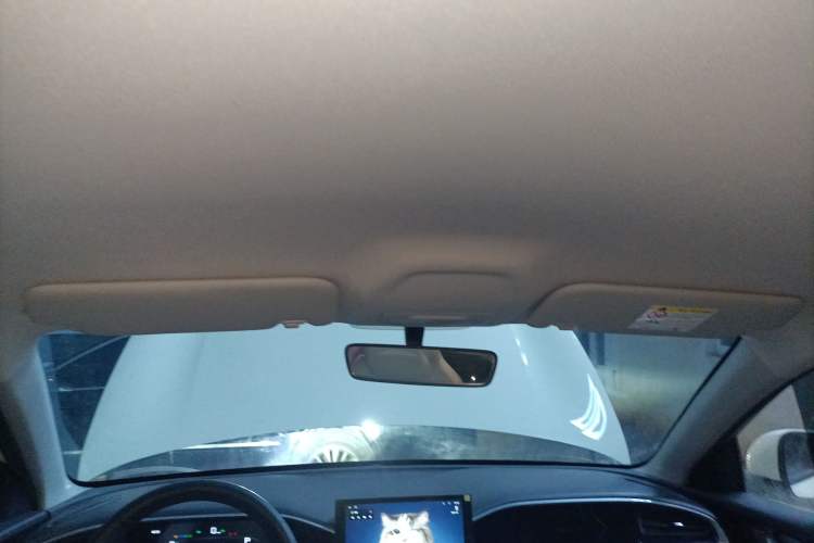 Used  Geome 2025 310km Youth Edition
