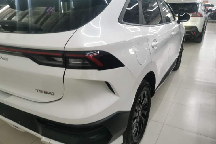 Used FORTHING T5 EVO 2024 Kungbiao Edition 1.5TD DCT Platinum Model