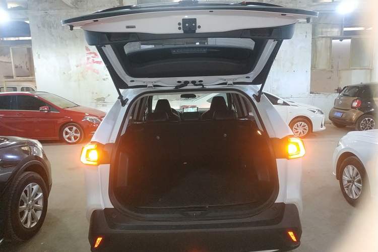 Used Toyota Wildlander 2022 2.0L CVT Two-Wheel Drive Luxury Edition