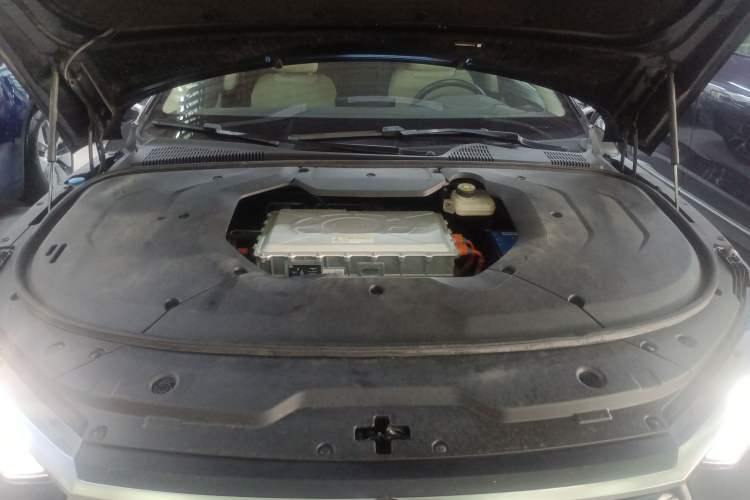 Used BYD e9 2021 Business Edition
