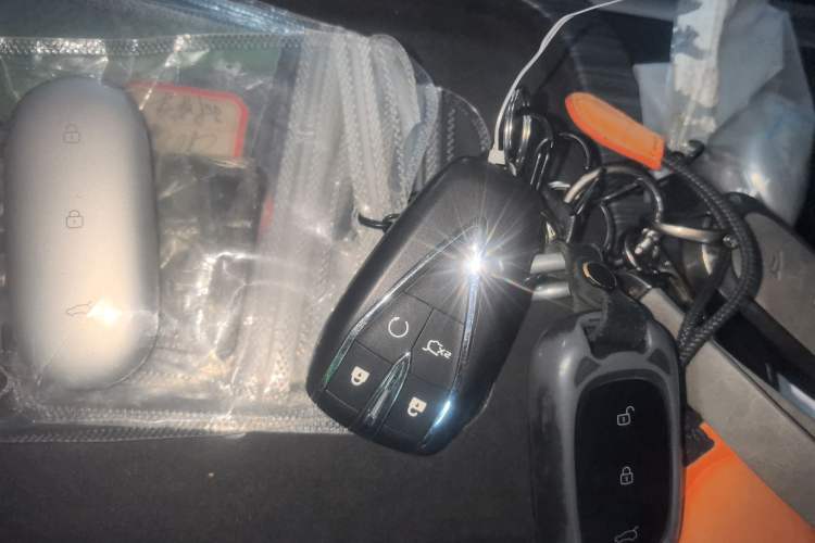 Used  Q05 2025 Truly Delicious Version 125 Deluxe Edition
