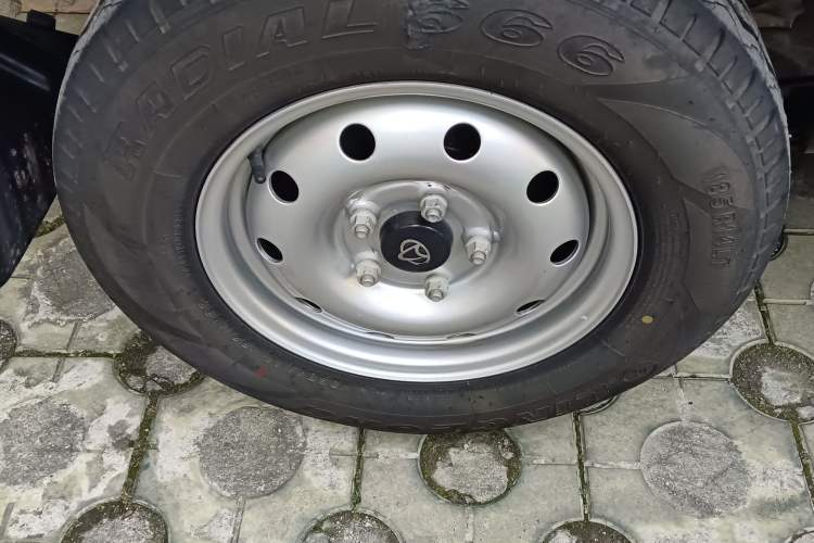 Used Chana Ruixing EM60 2025 Passenger Version Comfort Edition 6 Seats 300 km Range Side-Hinged Doors
