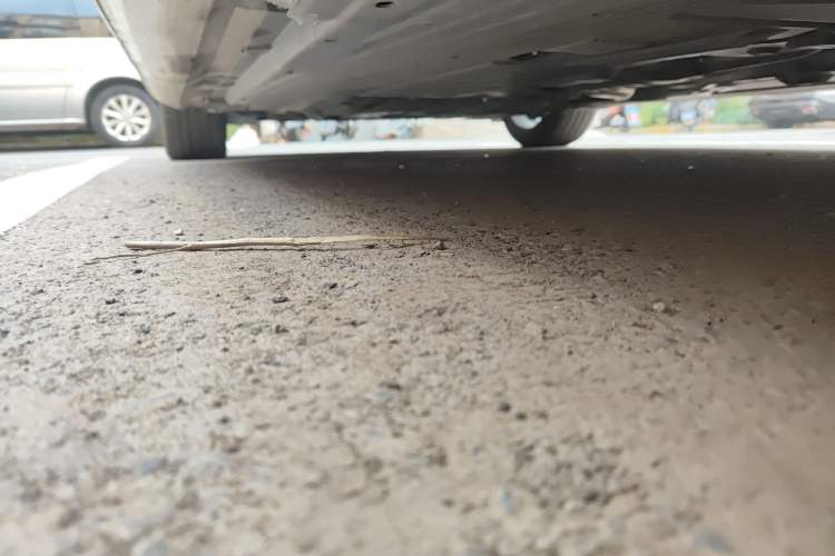 Used Mercedes-Benz C-Class 2022 Revised C 260 L Starry Night Sport Edition
