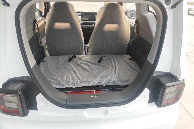 Used  Panda 2024 Panda Mini 200km Endurance Bear