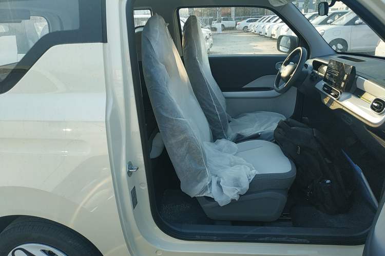 Used  Panda 2025 210 km – Yuanqi Bear
