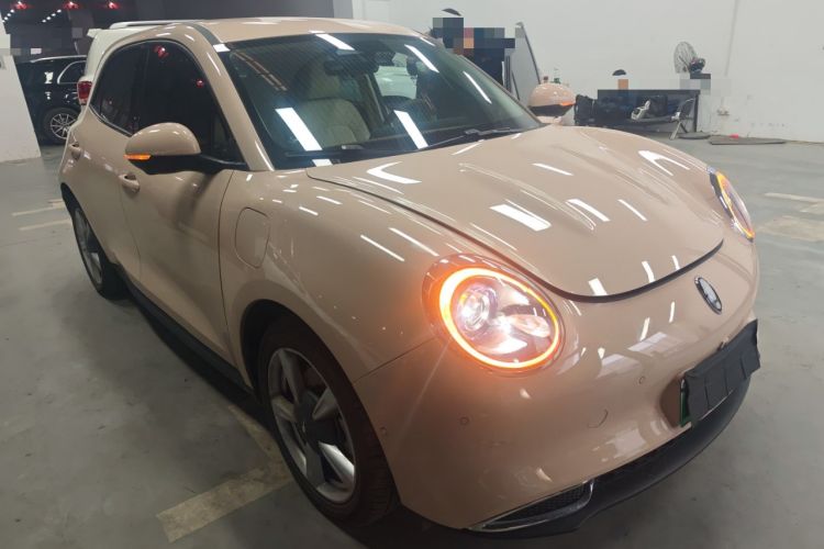 Used ORA Good Cat 2023 401 km Standard Range Luxury Version Lithium Iron Phosphate
