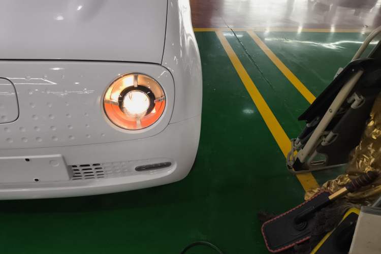 Used ORA Black Cat 2021 351 km Luxury Version
