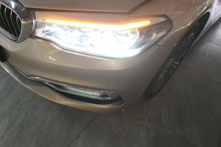 Used BMW 5 Series 2019 530Li Luxury Edition Premium Package