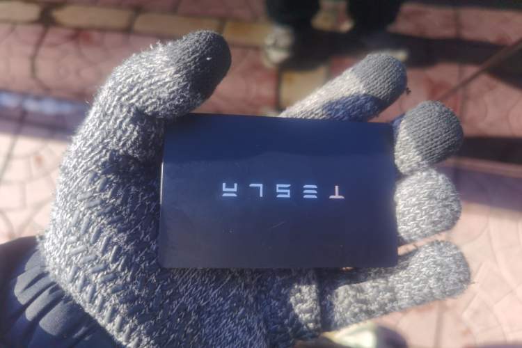 Used Tesla Model Y 2022 Revised Version Long-Range All-Wheel Drive
