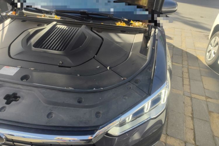 Used BYD Song Pro New Energy 2019 EV High-Power Long-Range Flagship Model
