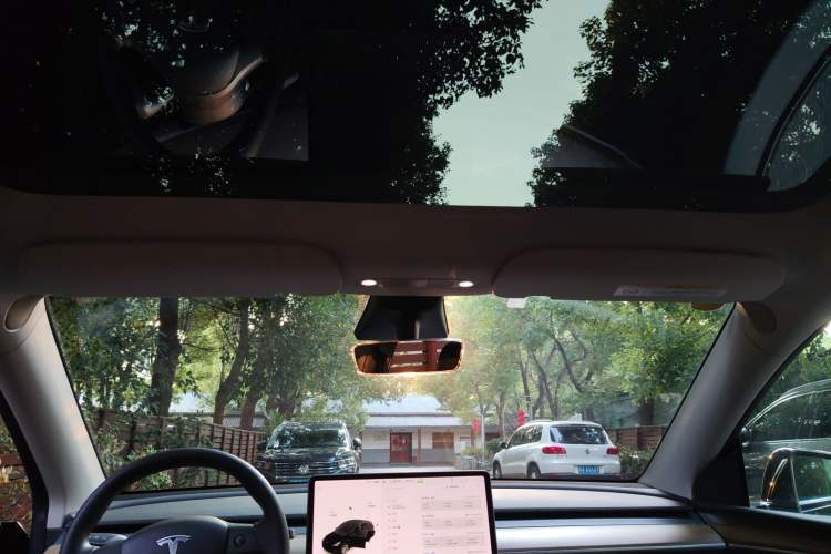 Used Tesla Model Y 2021 Standard Range Rear-Wheel Drive Version
