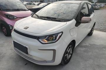 Used SOL E10X 2022 Flower Fairy Style Baby's Breath