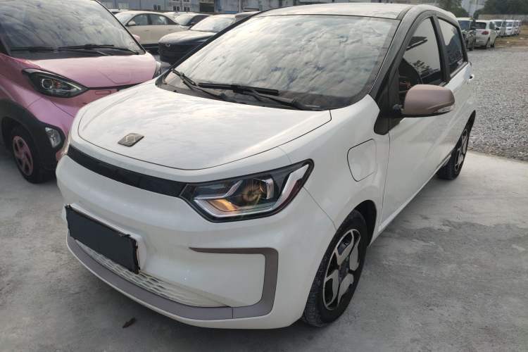 Used SOL E10X 2022 Flower Fairy Style Baby's Breath