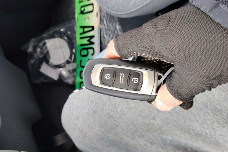 Used  Panda 2024 Panda Mini 200km Endurance Bear