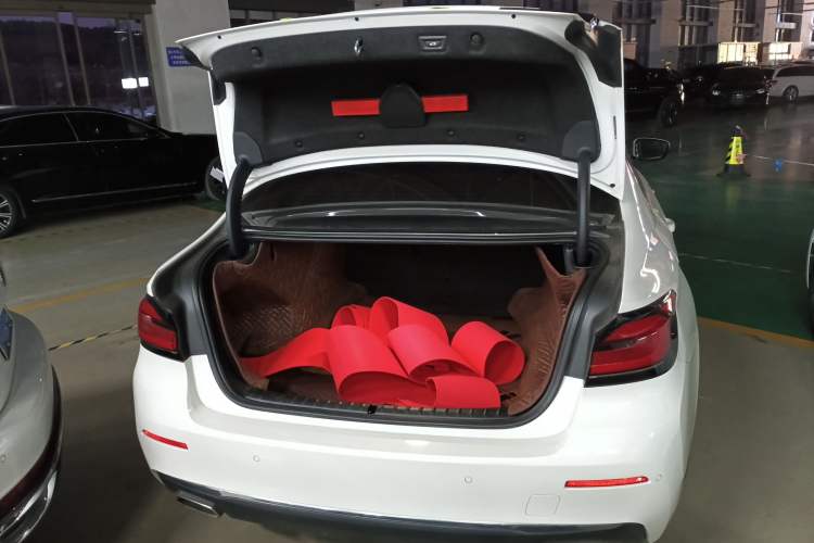 Used BMW 5 Series 2021 525Li Luxury Package