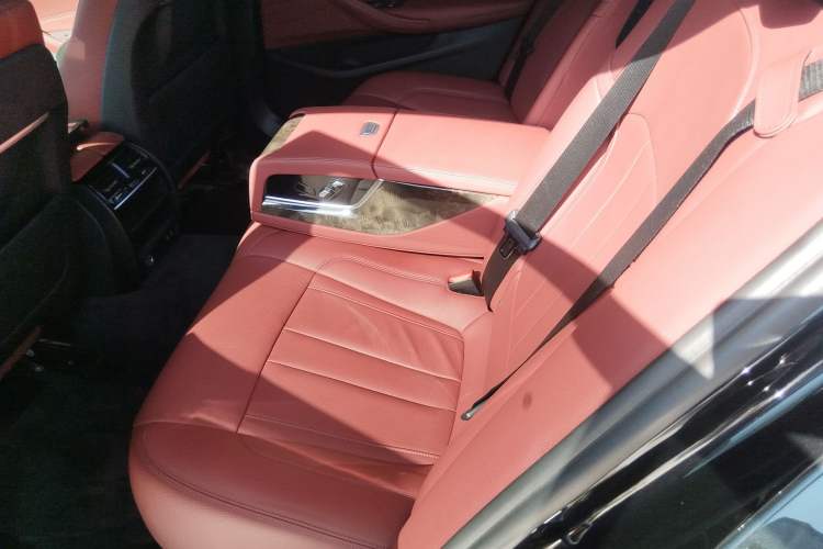 Used BMW 5 Series 2020 530Li Leading Model M Sport Package