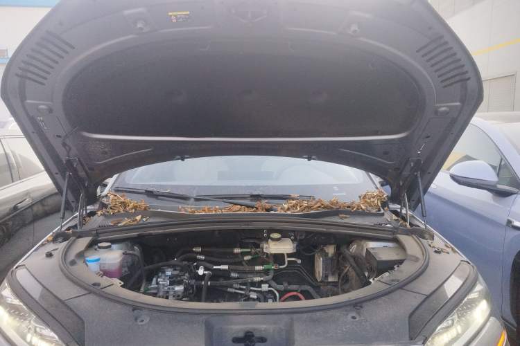 Used BYD Song PLUS New Energy 2025 EV Intelligent Driving Version 520km Premium Model