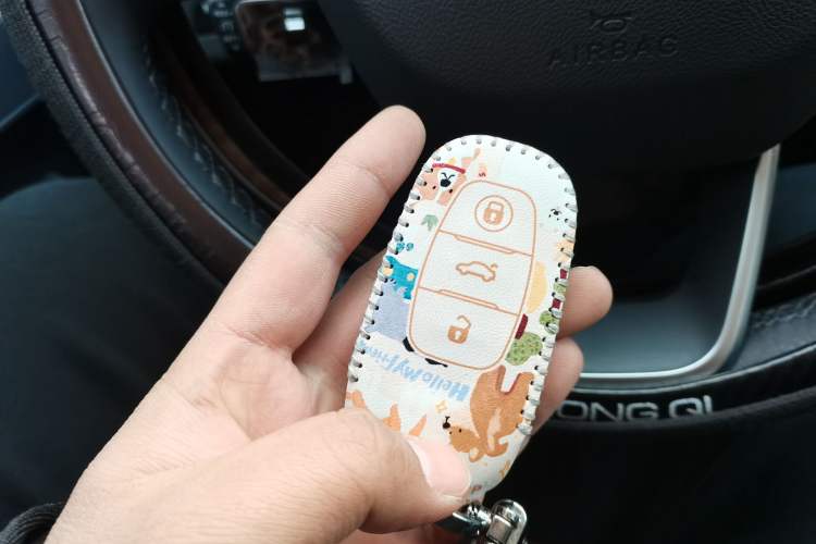 Used Hongqi E-QM5 2023 620km PLUS