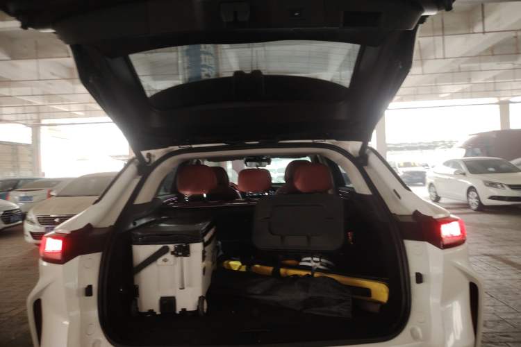 Used  Stellar 2023 400T Two-Wheel Drive Comfort Flyfish Edition