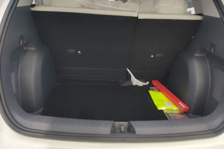 Used  Geome 2025 310km Dream Edition
