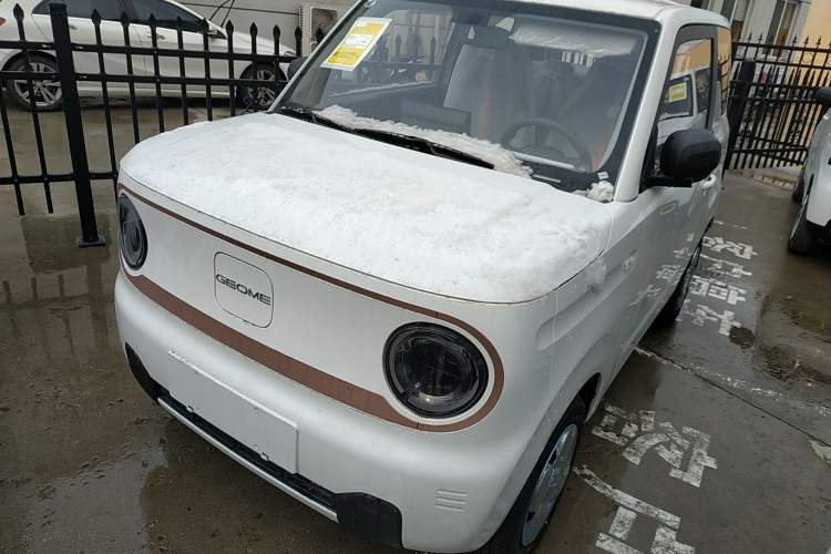 Used  Panda 2024 Panda Mini 200km Endurance Bear
