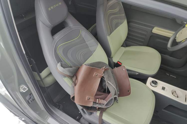 Used  Panda 2024 200km Panda Rider