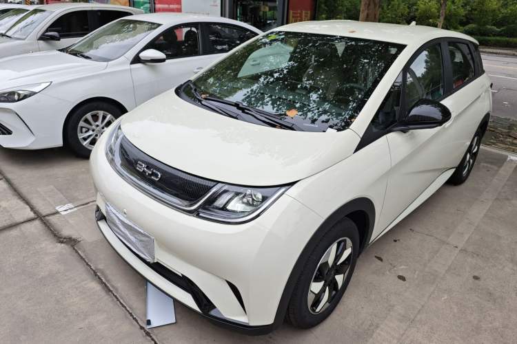 Used BYD Dolphin 2025 420km Free Edition