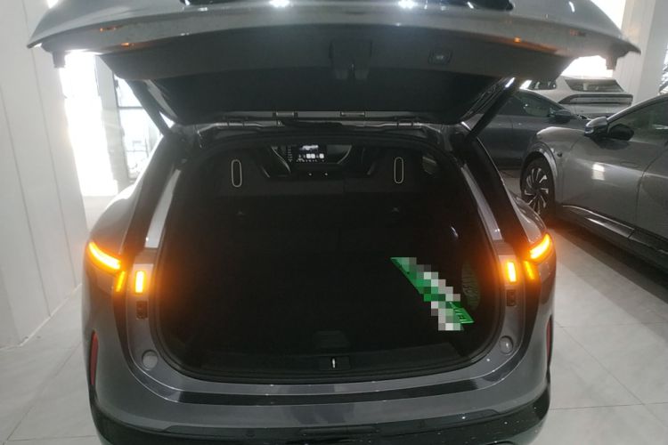 Used  07 2024 Max Extended-Range Edition