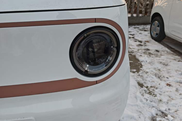 Used  Panda 2024 Panda Mini 200km Endurance Bear