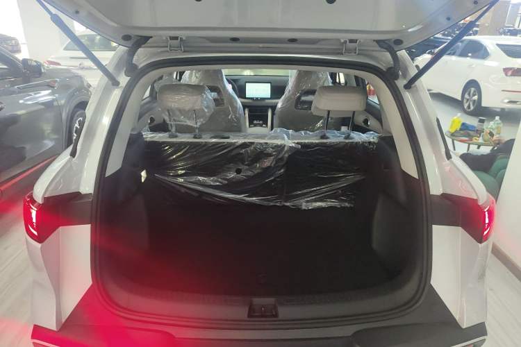 Used BYD Yuan UP 2024 401 km Active Version
