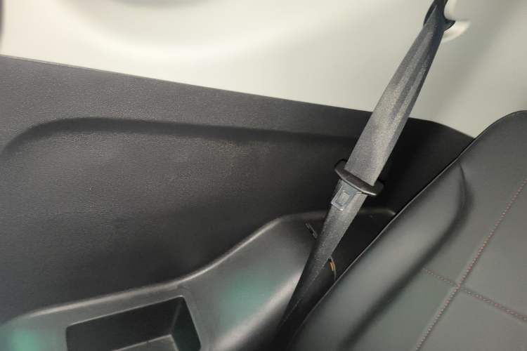 Used Chery Little Ant 2023 251km True Love Edition Lithium Iron Phosphate
