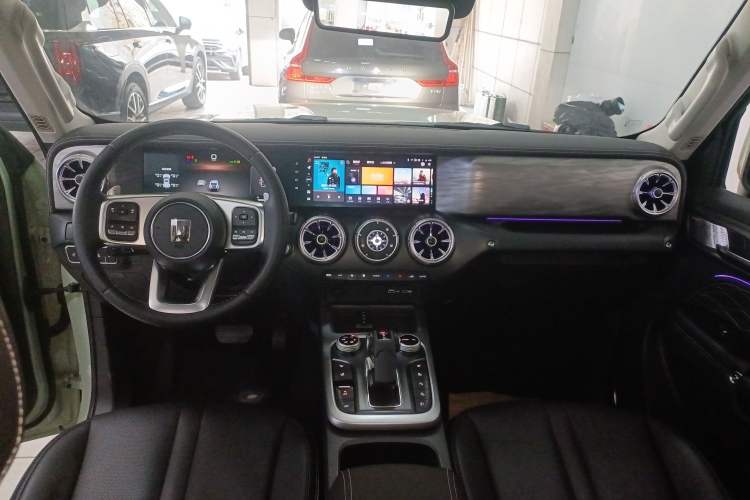 Used Tank 300 2024 2.0T Crosser
