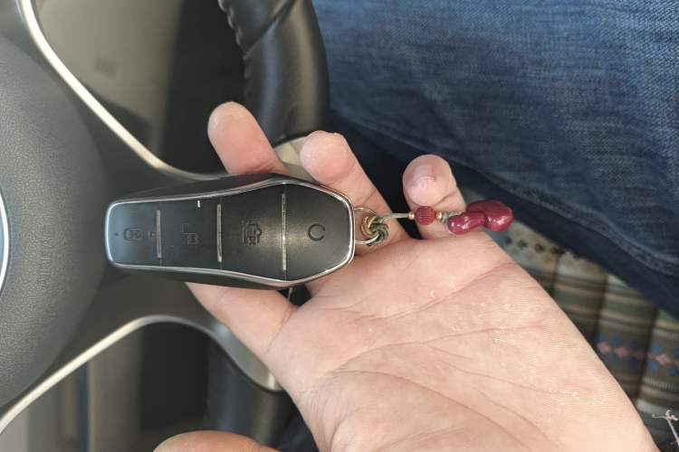 Used BYD Dolphin 2021 405 km Free Version
