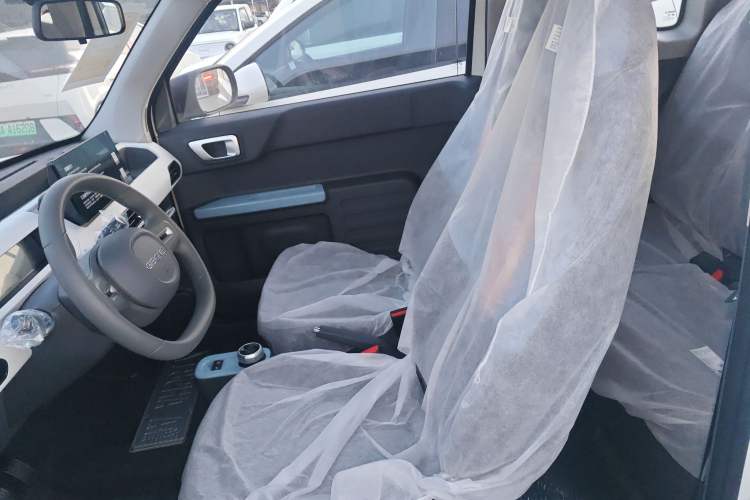 Used  Panda 2024 Panda Mini 200km Endurance Bear
