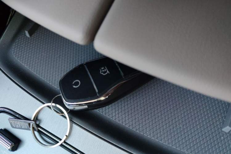 Used BYD Tang New Energy 2025 DM-i 115KM Prestige Model
