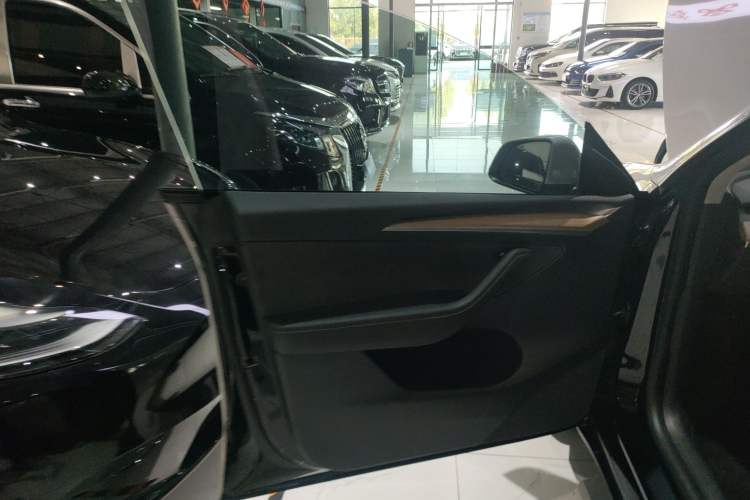 Used Tesla Model Y 2021 Standard Range Rear-Wheel Drive Version
