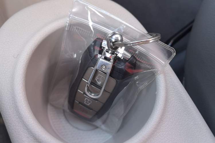 Used ORA White Cat 2020 401 km Flagship Version
