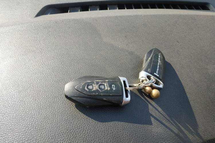 Used Leopaard CS9 2017 1.5L CVT Comfort Model
