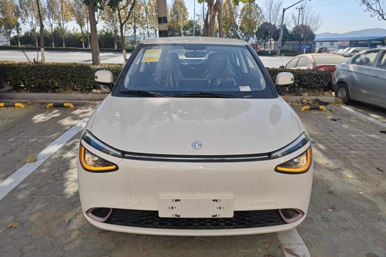 Used Dongfeng NAMMI 01 
