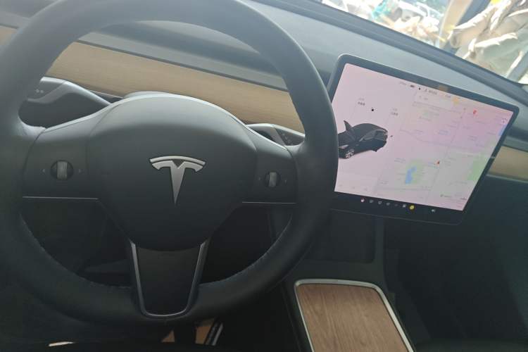 Used Tesla Model Y 2021 Standard Range Rear-Wheel Drive Version