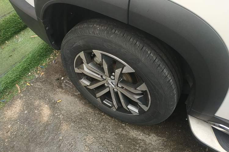 Used Haval DARGO 2021 2.0T DCT Two-Wheel Drive Chinese Mastiff Edition
