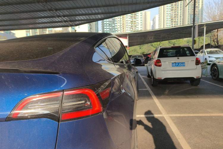 Used Tesla Model Y 2021 Standard Range Rear-Wheel Drive Version
