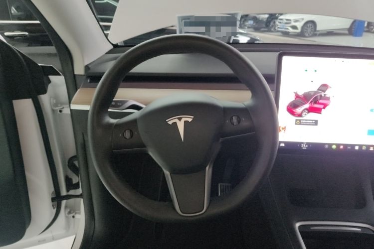 Used Tesla Model Y 2021 Standard Range Rear-Wheel Drive Version
