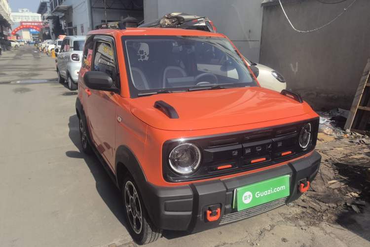 Used  Panda 2024 200km Panda Rider