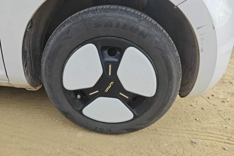 Used Qiyuan Lumin 2023 205km Xiangqin Version
