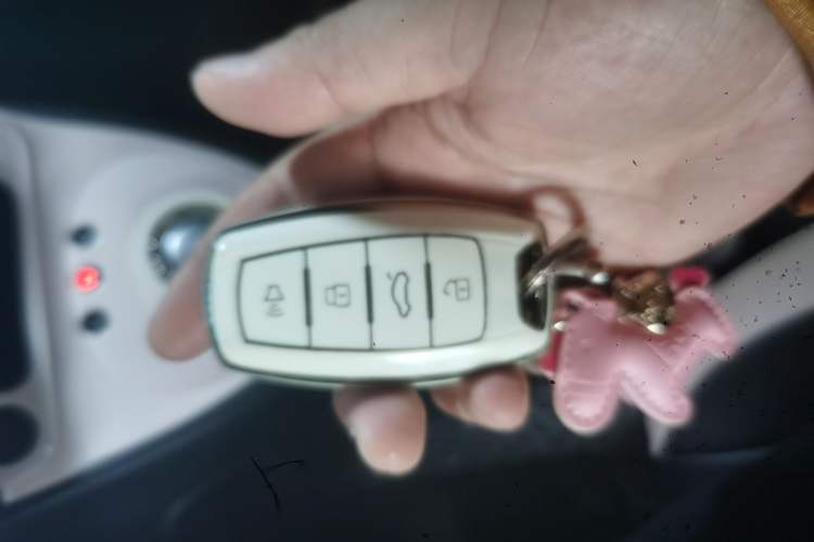 Used ORA Black Cat 2022 301km "Cute Pet" Version – Lithium Iron Phosphate
