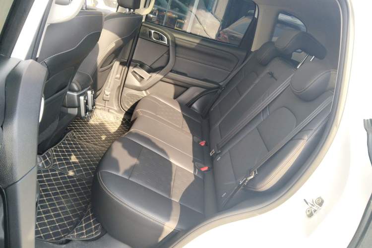 Used Haval DARGO 2024 2.0T DCT Chinese Rural Dog Edition
